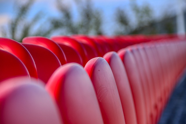 本赛季本 本赛季本