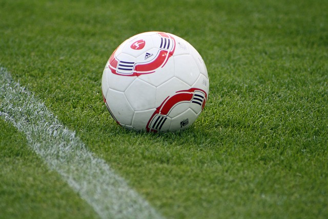 鞋子的整体 鞋子的整体