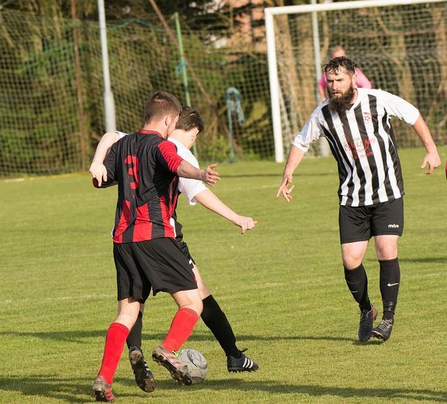 球队必须在 球队必须在