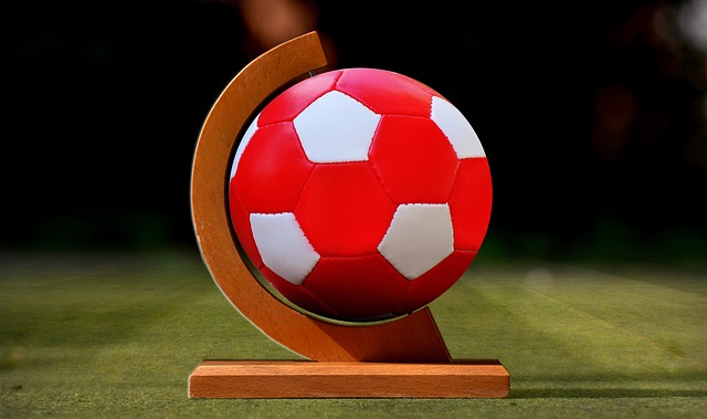 爱篮球的观 爱篮球的观