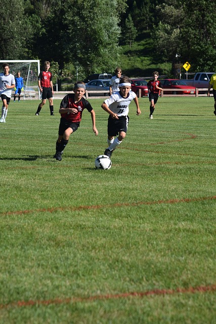 稳定的发挥 稳定的发挥