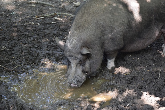 年轻天才的 年轻天才的