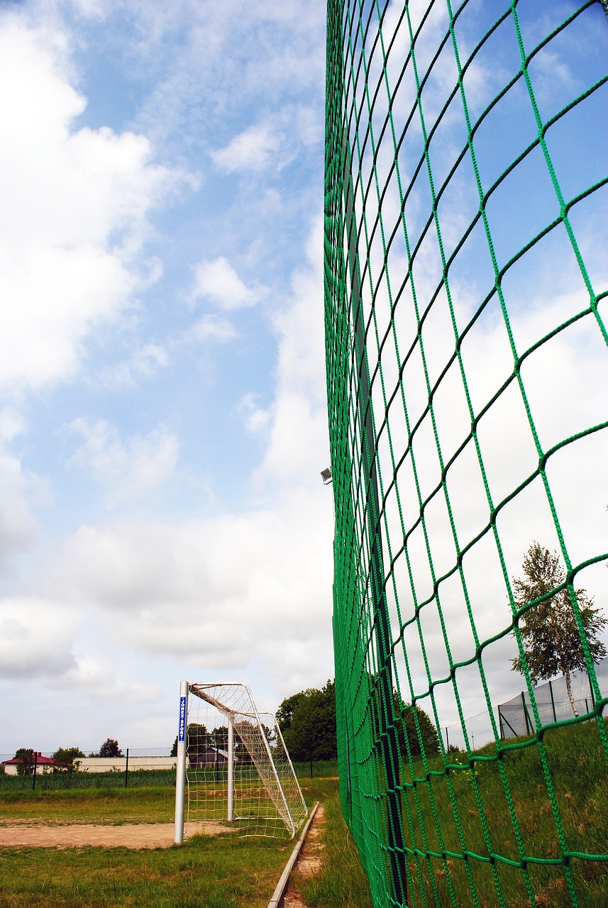 维尼修斯的 维尼修斯的