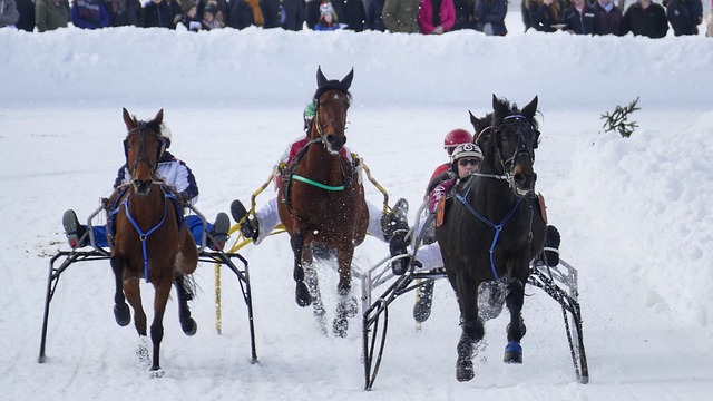 利的渴望 利的渴望