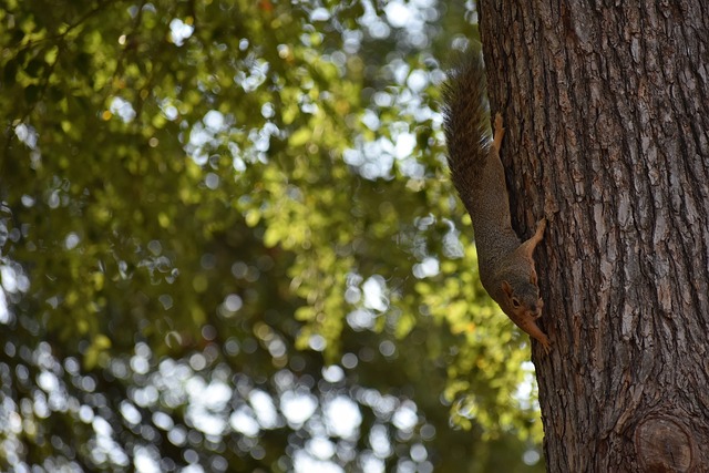 他在接到孙 他在接到孙