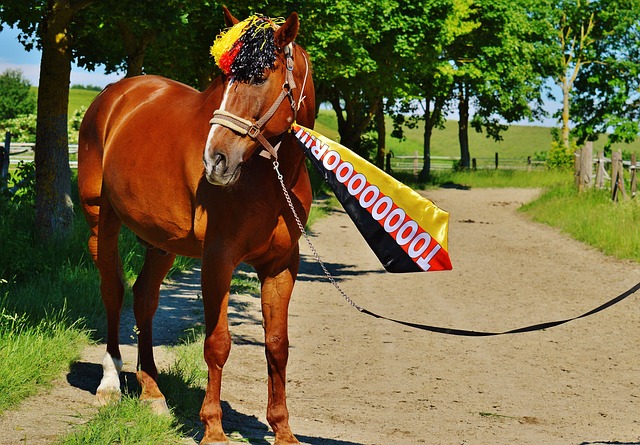 解读广东宏 解读广东宏