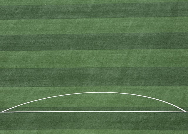 心理调整 心理调整